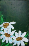 Daisies