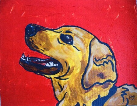 Dog on Red